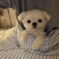 接码网站 国外接码 短信接码 qq接码 (@hadderzz) 's Twitter Profile Photo 接码网站 国外接码 短信接码 qq接码 (@hadderzz) 's Twitter Profile Photo