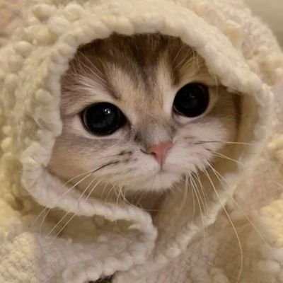 its_koda__'s profile picture. 27
KDSE✨️

💍31.7.25