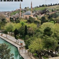 Şanlıurfa 63 Haber (@bay_k70233) Twitter profile photo