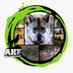 All Hearts Foundation (@allheartsfound1) Twitter profile photo All Hearts Foundation (@allheartsfound1) Twitter profile photo