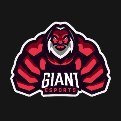 CS2 Team | #giantesports
All members/associates are followed.