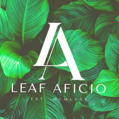 Indulge in the opulent allure of Leaf Aficio – a distinguished lifestyle brand where sophistication meets the timeless beauty of cigars and the tobacco leaf.