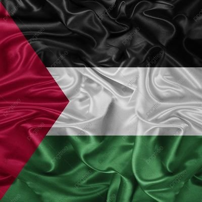 SAM_2O2O's profile picture. الحمدلله أن دماءنا غاليـة عند الله.
 ويكفينا ذلـك ... 🇵🇸