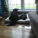 Tracey Peters - @ghostshadow1 - Twitter