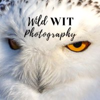 Wild Wit Photography(@WildlifeSarcasm) 's Twitter Profile Photo