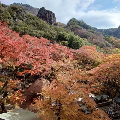高配当株、優待株、投資信託などをしながら、FIRE目指してる30代後半の夫婦。ポイ活歴は20年とそこそこ長め。
楽天経済圏で主に生息してます。
子持ち&共働きで日々奮闘中。
読書をよくしてます。
そして美味しい食べ物は大好き。
無言フォロー失礼します。
DMは返事しません。