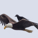 David Crow - @DavidCrow138127 - Twitter