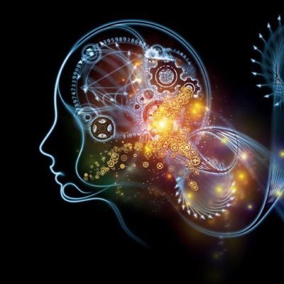 ibraheem_tj_'s profile picture. ✨