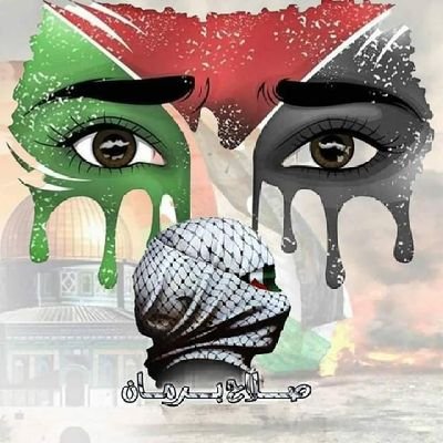 صلاح عبدالله 🇾🇪🇵🇸 Profile