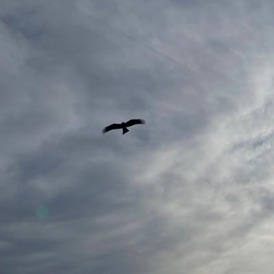 sabu1357000's profile picture. 三重〜暇〜ちんち〜ん🥳