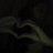 officialfer's profile image
