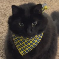 Moo (@6kmoo) 's Twitter Profile