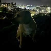 Pauline (@55p3l) 's Twitter Profile