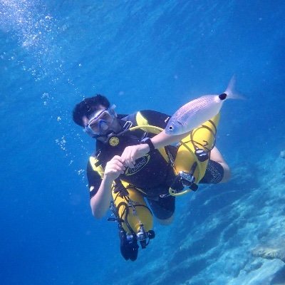 CMAS 2* scuba instructor @capasas
Urologist, Istanbul University @itfuroloji