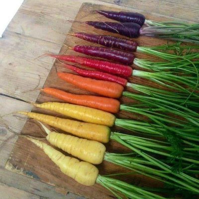 cuk_goran's profile picture. 