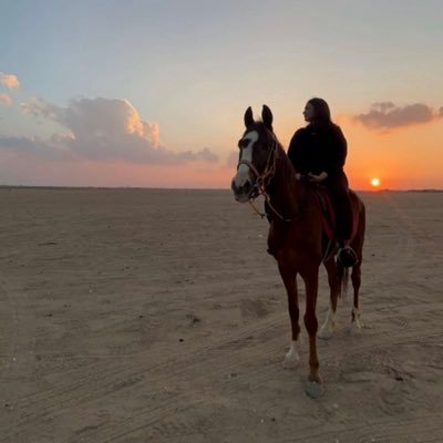 NouraAldosari18's profile picture. 