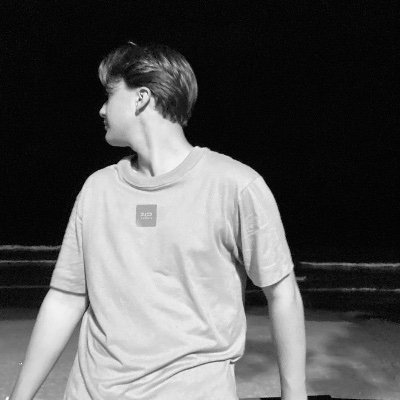 kaue_nemerski's profile picture. 🇮🇹