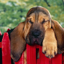 Jay Samonte - @closet50 - Twitter