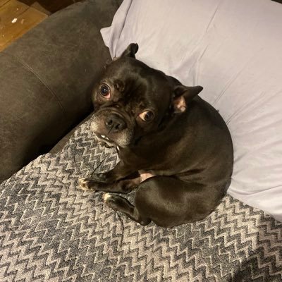 Nathan295215's profile picture. 