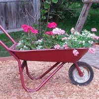 thesqueakywheelbarrow (@squeakywbarrow) 's Twitter Profile