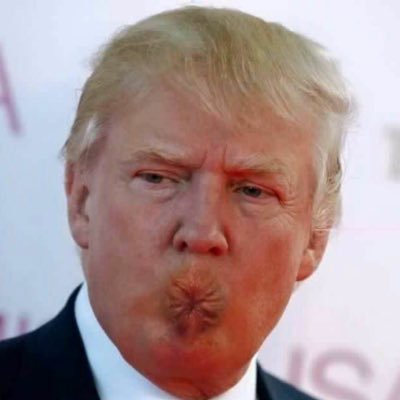 Donald T Rump (The Real __________________ parody) Profile