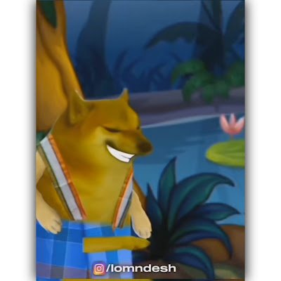 _sotx__'s profile picture. 