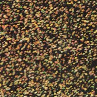 primrose (@_anothercountry) 's Twitter Profile