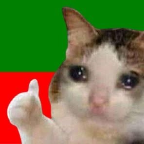 pakisoulinseoul's profile picture. ex-kdrama enthusiast now part-time kwatcher, kworld, pak, cricket and memes🇰🇷🇵🇰 #FreePalestine