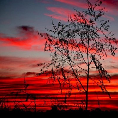 pearlsde17's profile picture. 