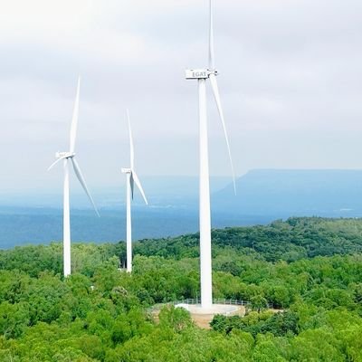 260Dlit's profile picture. 