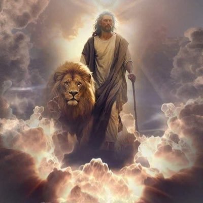 Arzt, Christ, Libertär, Liebe ist die einzige Antwort 🦁❤️‍🔥🕊️Ich bin nur ein Tropfen aber auch das Meer 🌊