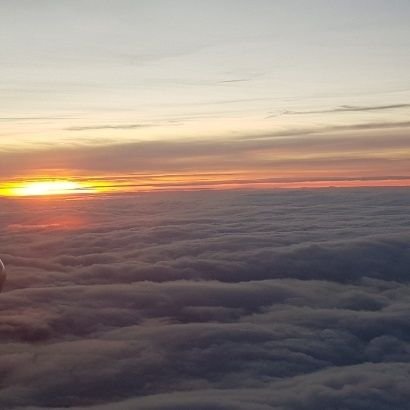 RegainEU's profile picture. 24 

https://t.co/u9Wy2JNMzu