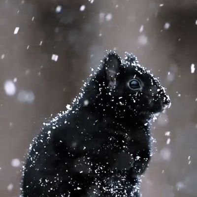 Brokenさんのプロフィール画像