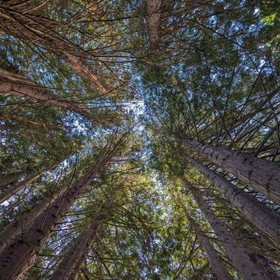 AgConserveEd's profile picture. Ag Conservation Educator with the Penn State Extension Center for Ag Conservation Assistance