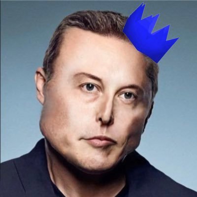 shillonmusk