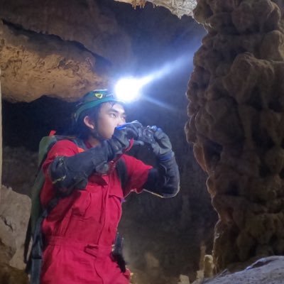 洞窟探検にガンガンのめり込んでる人 西表島に3年住んでました ゲーム脳冒険少年のなれのはて 日本洞窟学会会員 パイオニアケイビングクラブ会員