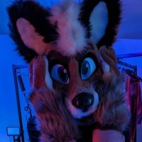 Cole Fox (@thefoxcole) 's Twitter Profile