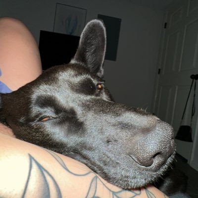 neelia_leen's profile picture. 🖤