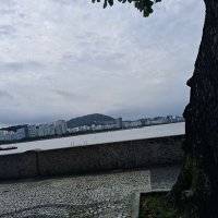 jbnn7 (@jbnn7rl_) 's Twitter Profile