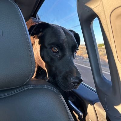 DCFieldcan's profile picture. 