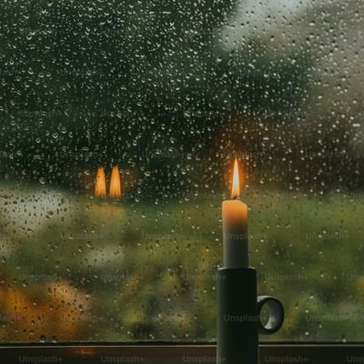 lydarciniegas's profile picture. 