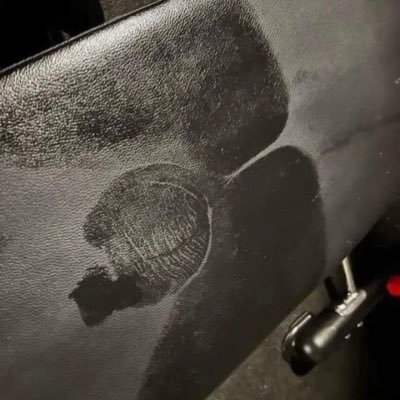 VatoRegi0's profile picture. 🔞