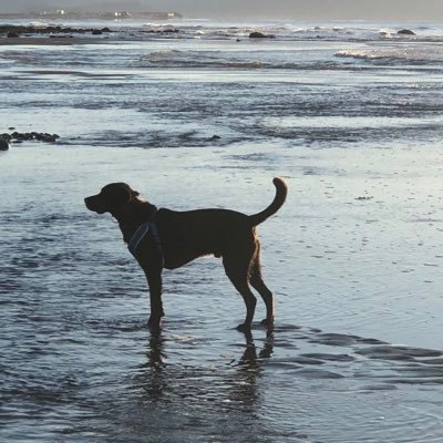 MurphyA30686's profile picture. 