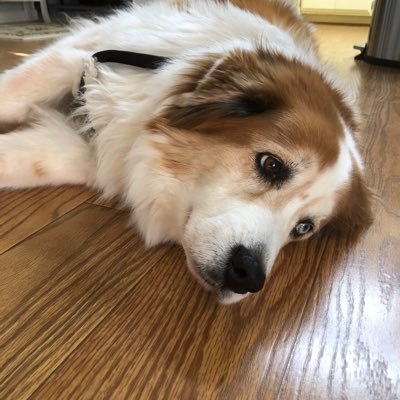 ScottSp39636003's profile picture. Me