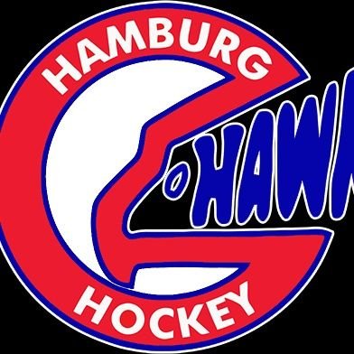 best hockey team