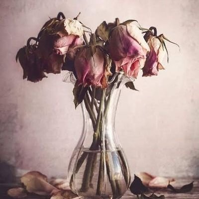 FitriasLytha's profile picture. 