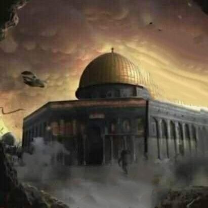 Abo2omer662's profile picture.