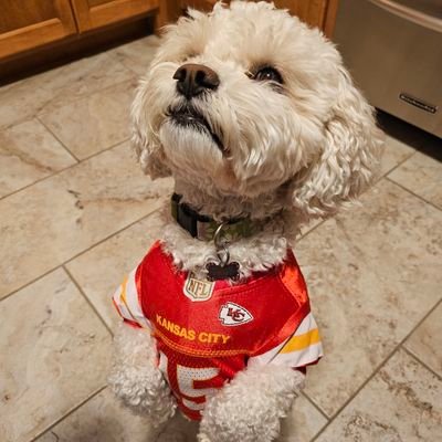 Chiefs season ticket holder since '92; 3-ft blood clot survivor. Pretty much the same thing...