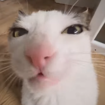 certzvee's profile picture. 