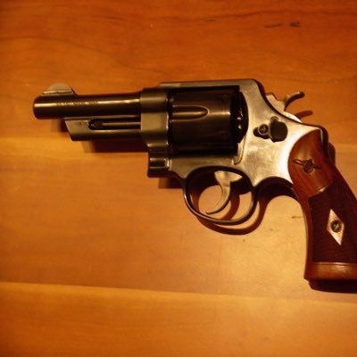 lover of wheel guns, Nationalist, son of the south, America First